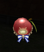 Coryn Memorial Shield